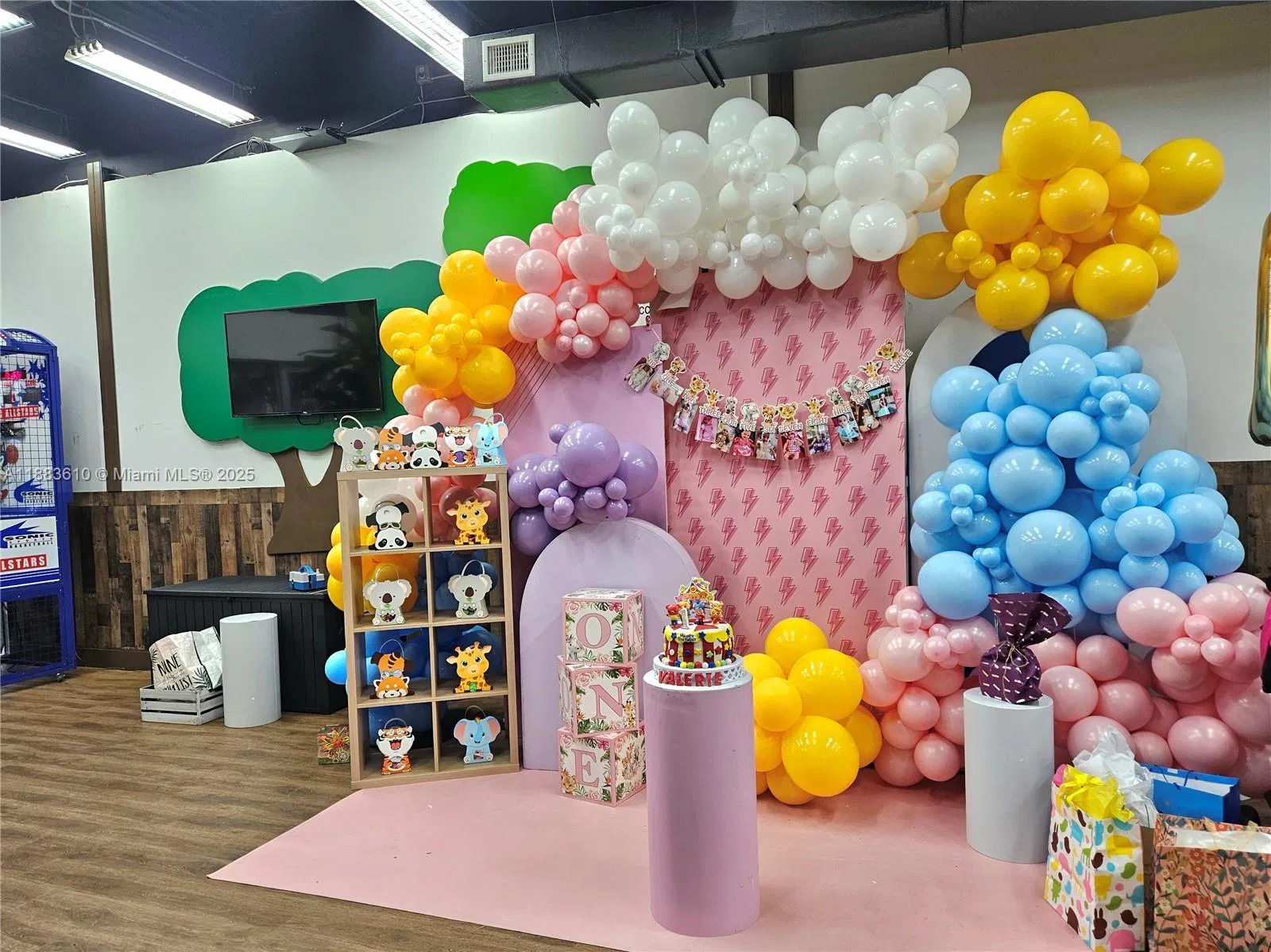 Premier Indoor Playground  Family Entertainment Center with Turnkey Operations