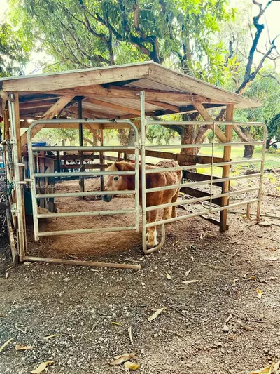 Turnkey Cuban Food Trailer with Event Space Potential