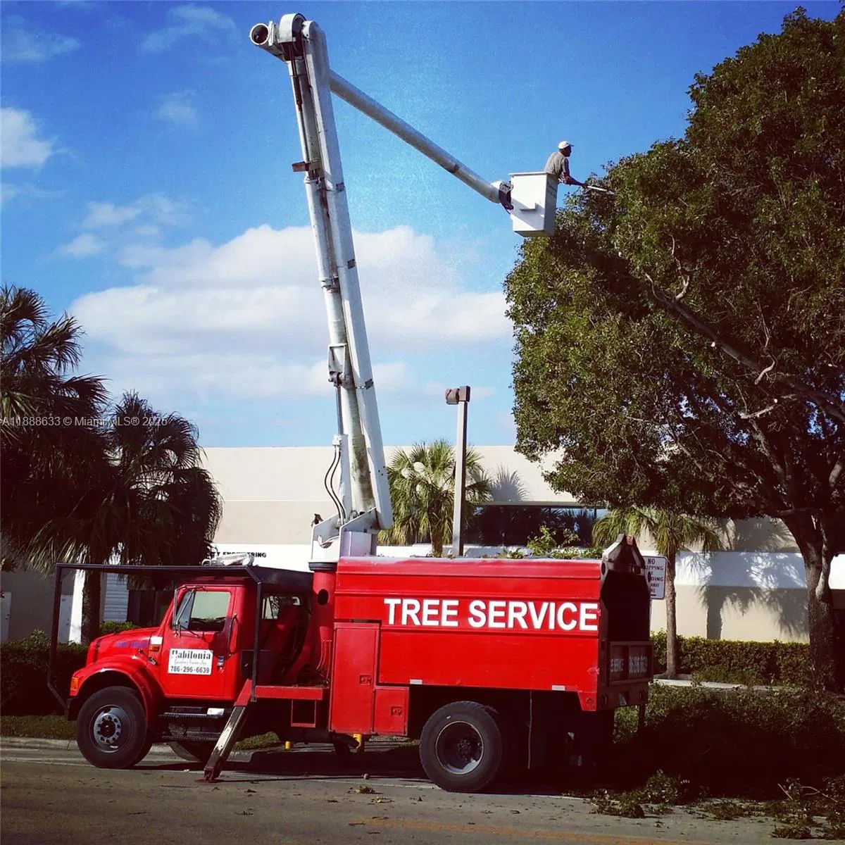 Established Landscaping Business with Turnkey Operations