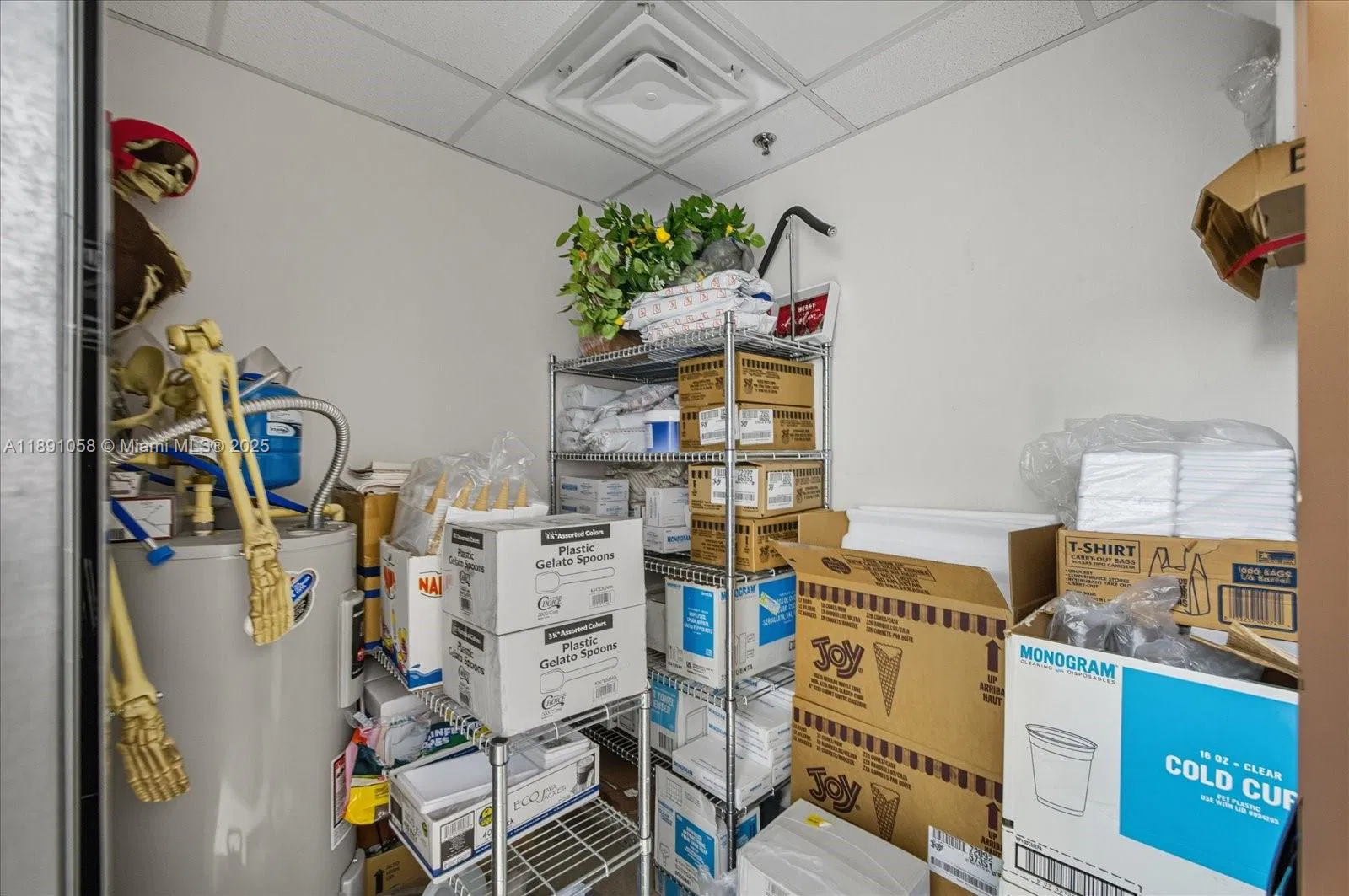 Thriving Gelato Shop with Prime Cultural Attraction Proximity