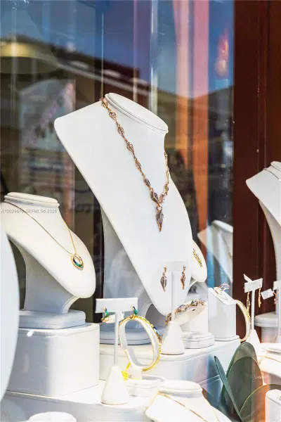 Profitable Jewelry and Pawn Shop with Multiple Revenue Streams