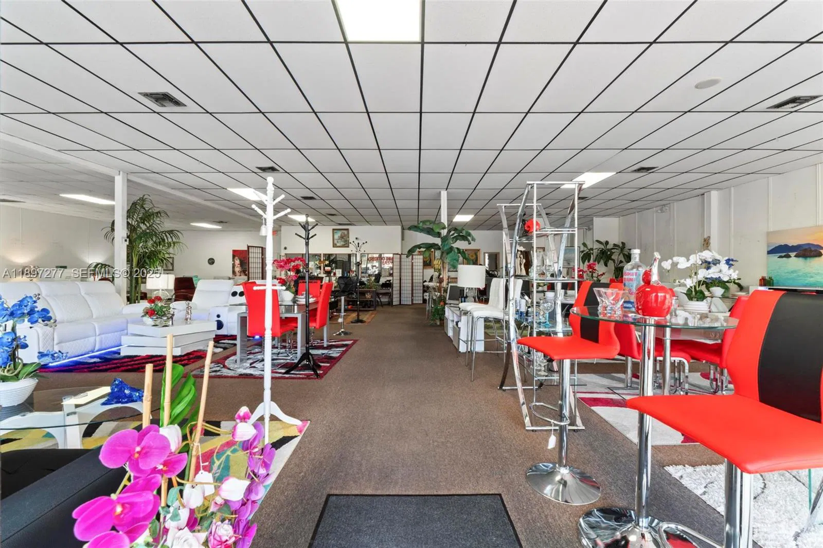 Established Furniture Store with Immediate Cash Flow