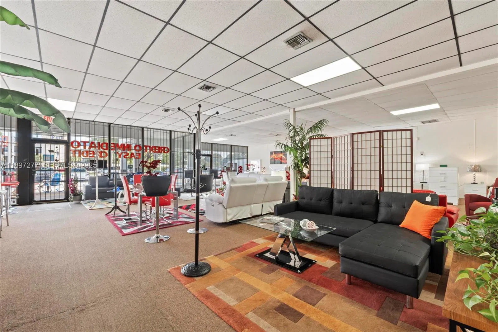 Established Furniture Store with Immediate Cash Flow