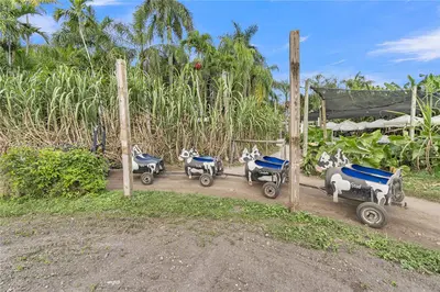 Profitable Agritourism Farm with Multiple Revenue Streams