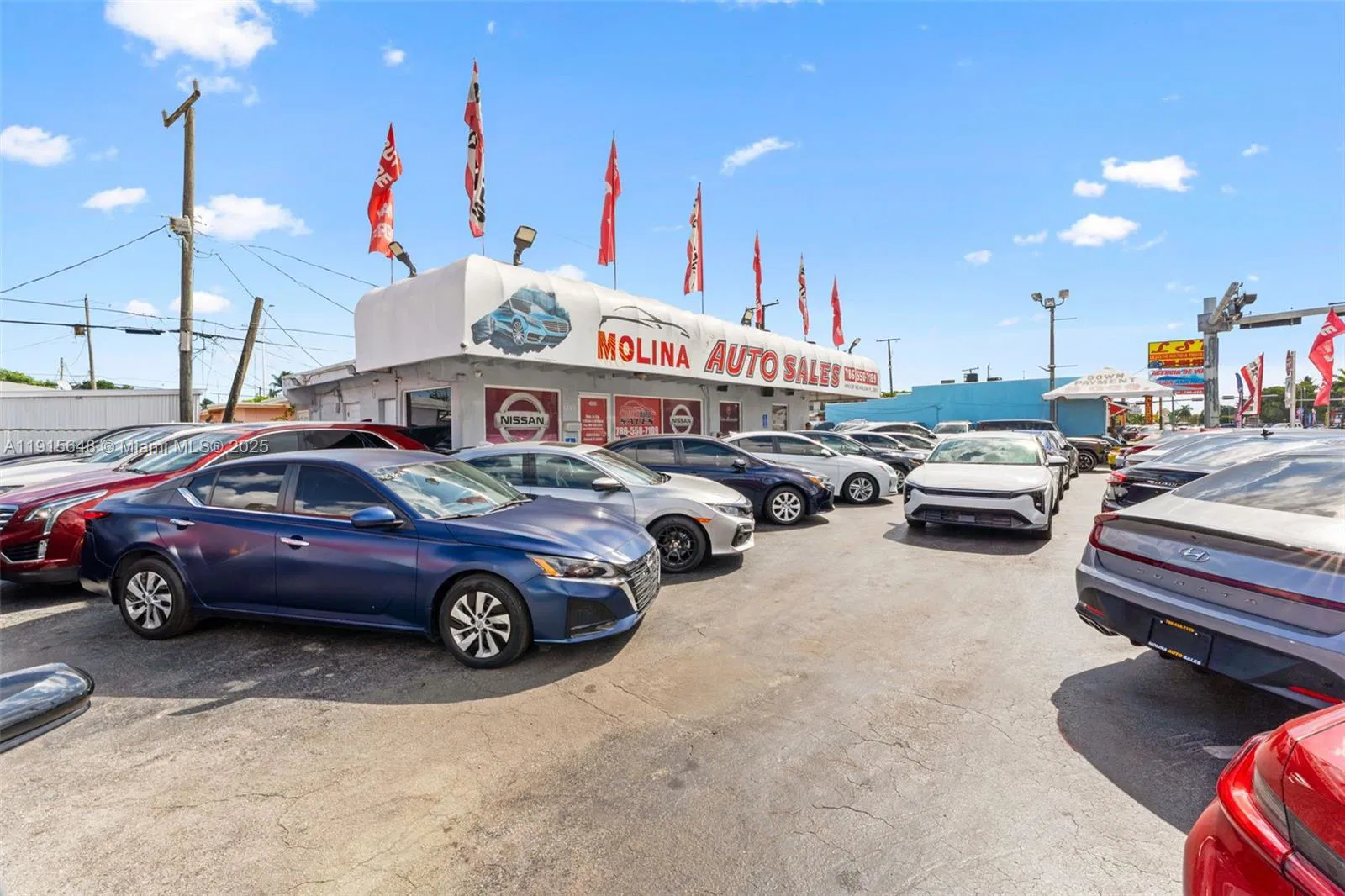 Profitable Car Dealerships with Real Estate and Established Licenses