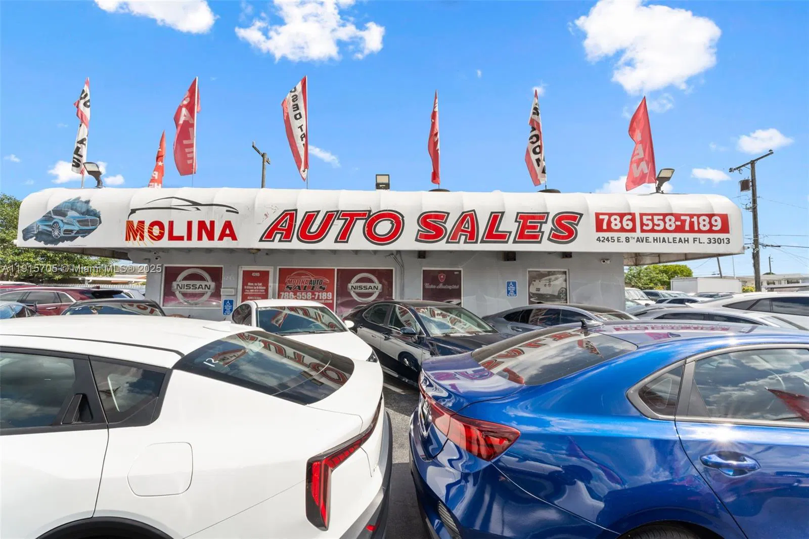 Profitable Car Dealerships with Real Estate and Established Licenses