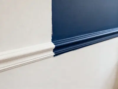 Scalable Painting Franchise with Area Developer Opportunity