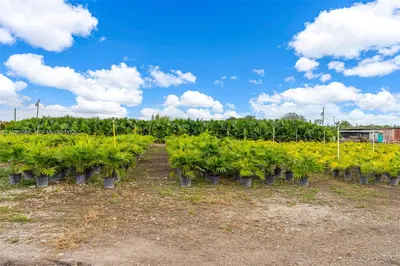 Thriving Agricultural Nursery with Permitted Improvements