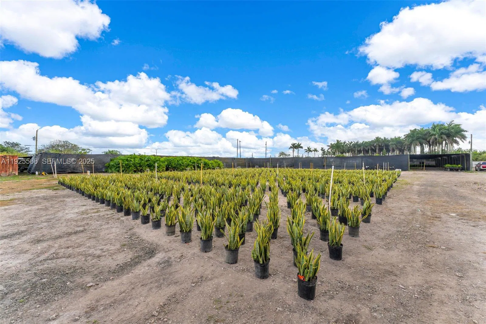 Thriving Agricultural Nursery with Permitted Improvements