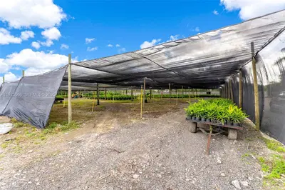 Thriving Agricultural Nursery with Permitted Improvements