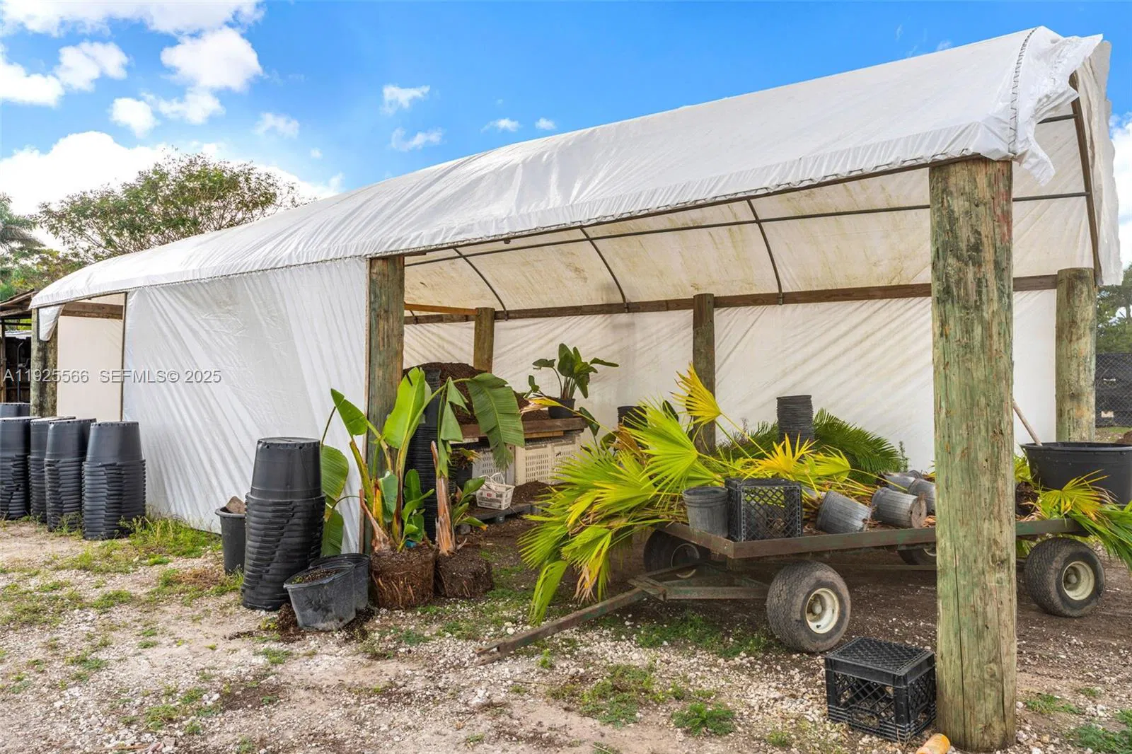 Thriving Agricultural Nursery with Permitted Improvements