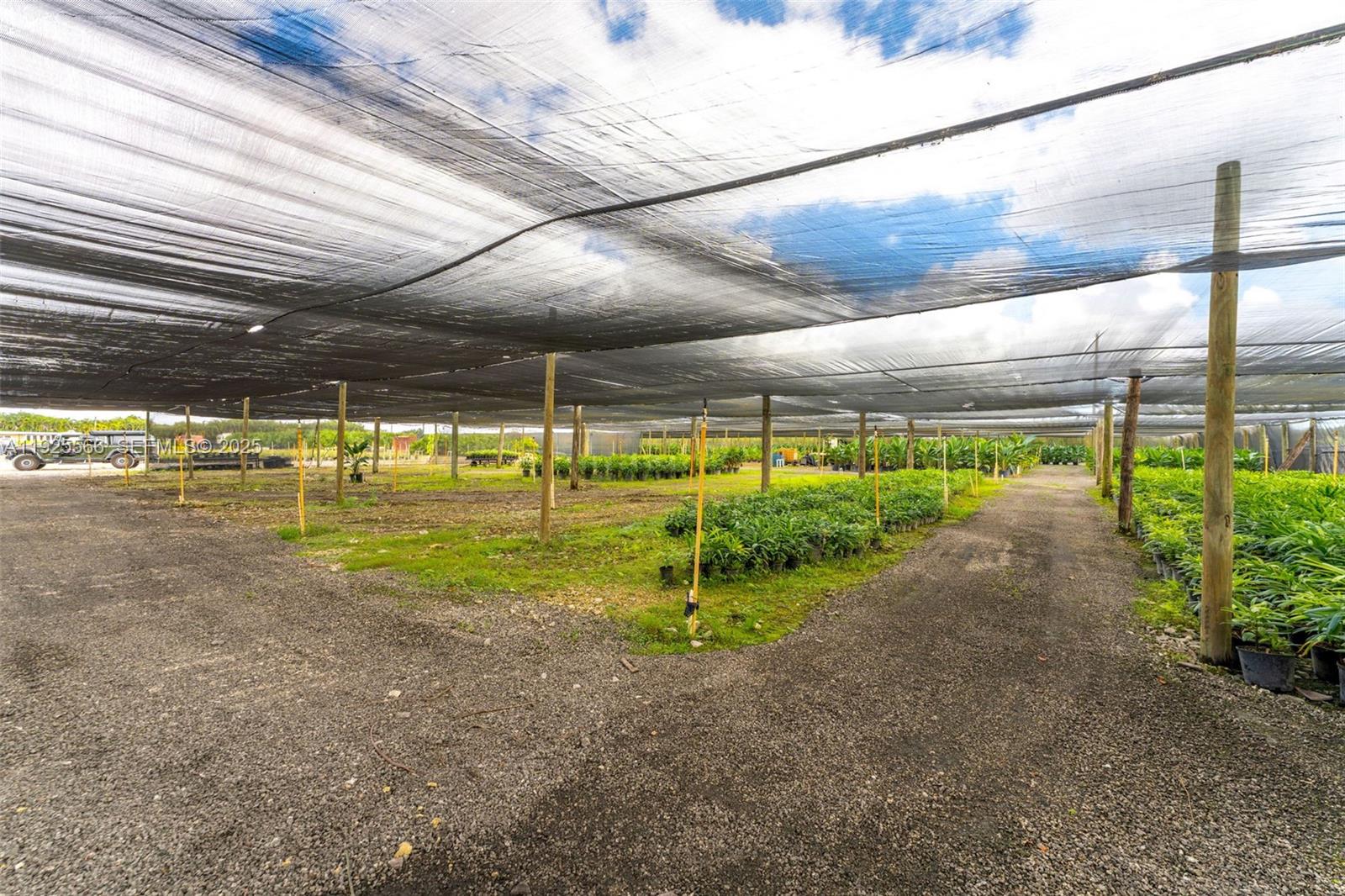 Thriving Agricultural Nursery with Permitted Improvements