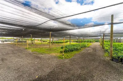Thriving Agricultural Nursery with Permitted Improvements