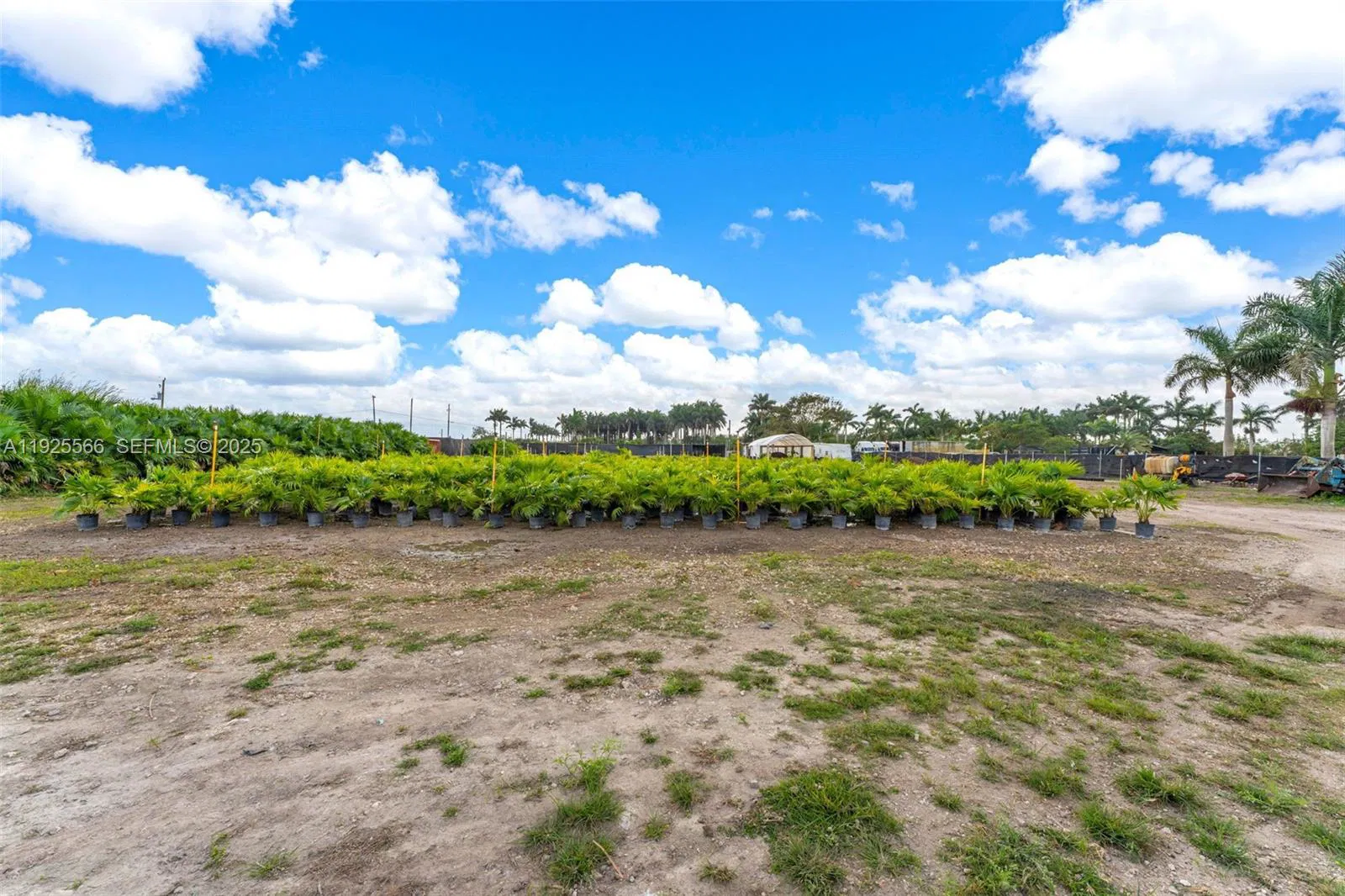 Thriving Agricultural Nursery with Permitted Improvements