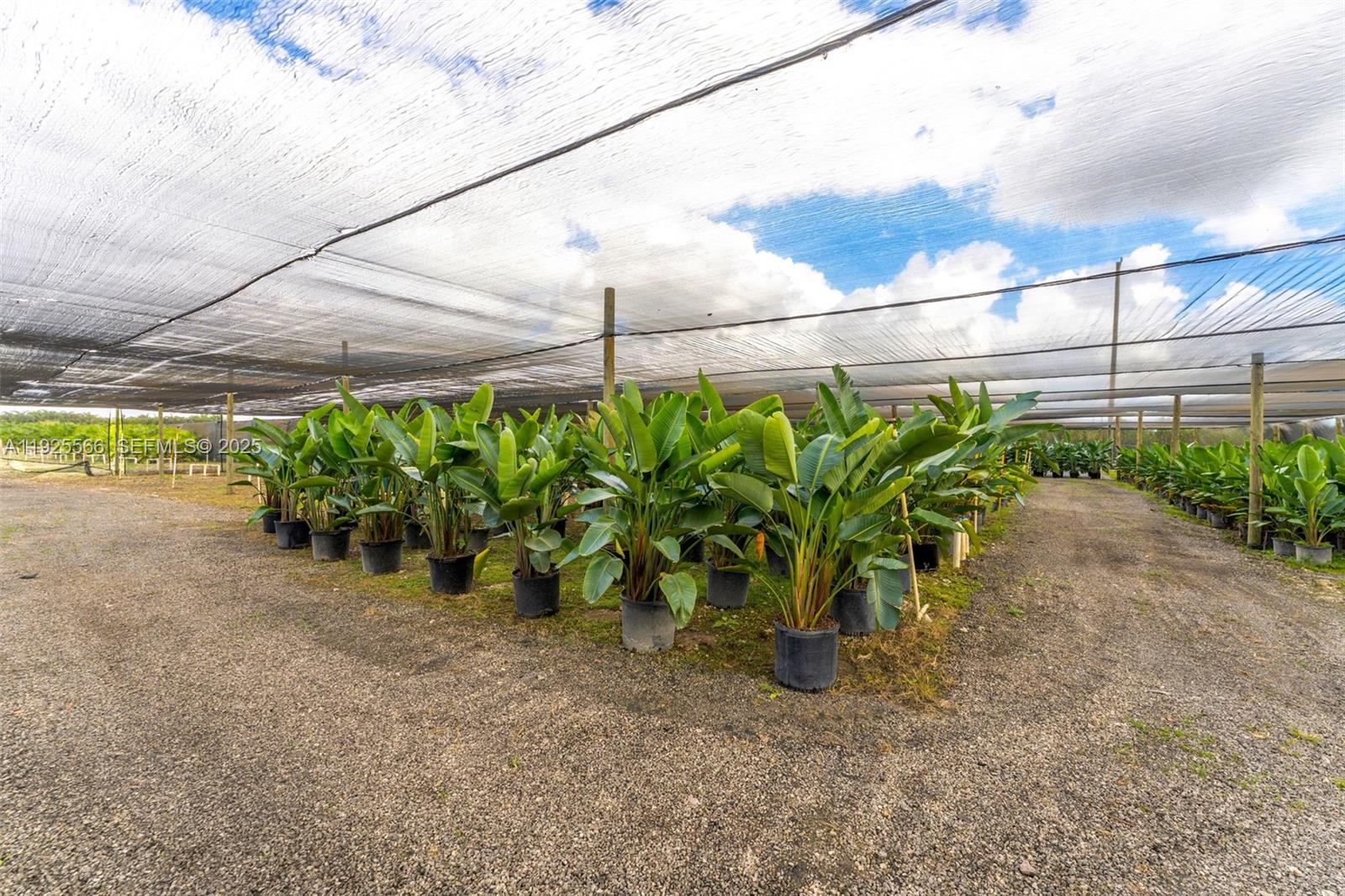 Thriving Agricultural Nursery with Permitted Improvements