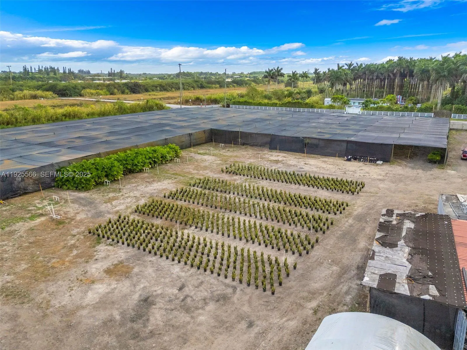 Thriving Agricultural Nursery with Permitted Improvements