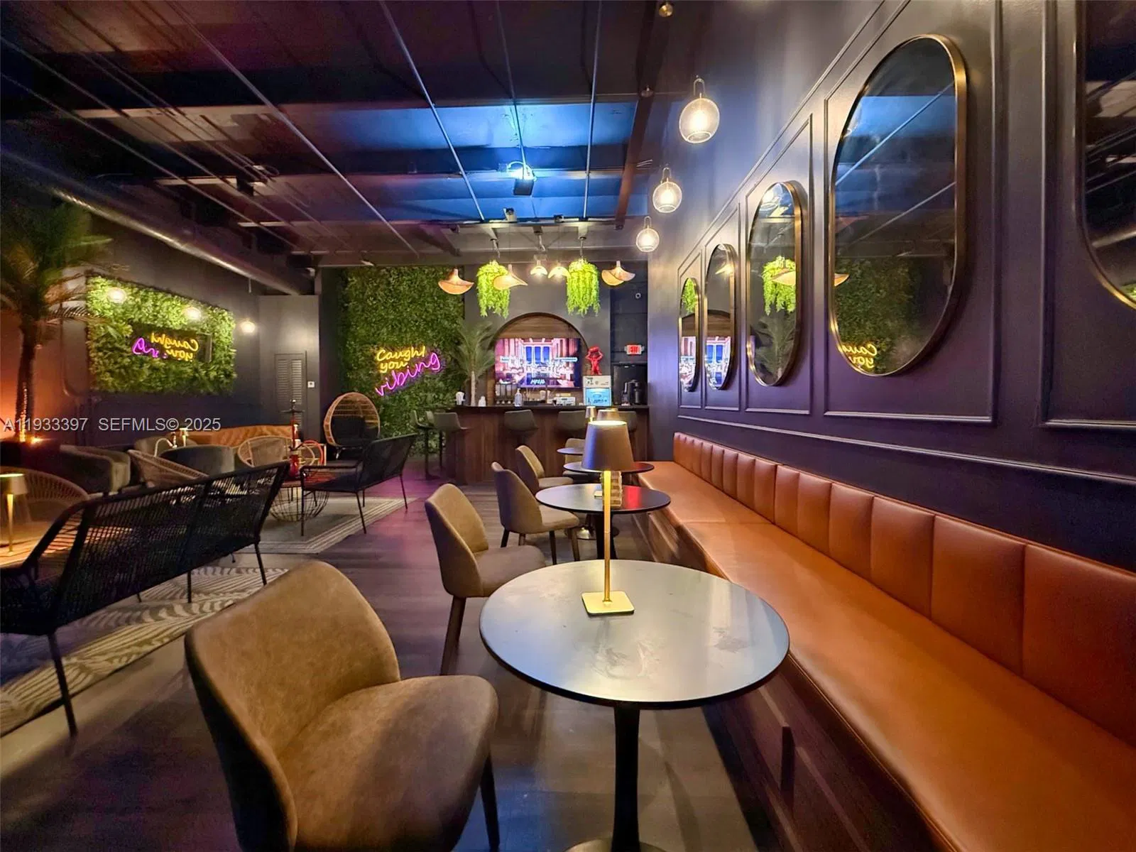 Profitable Dual Concept Retailer with Multiple Revenue Streams