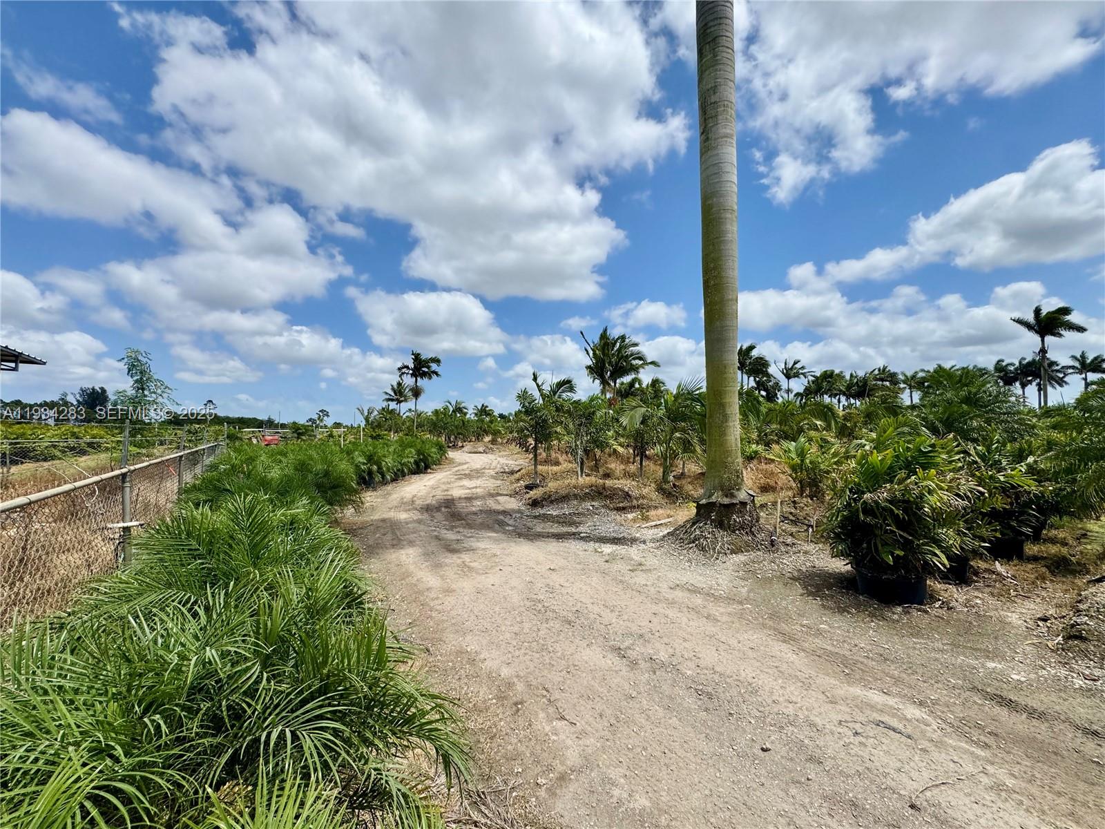 Profitable Tree Farm with Significant Inventory and Land