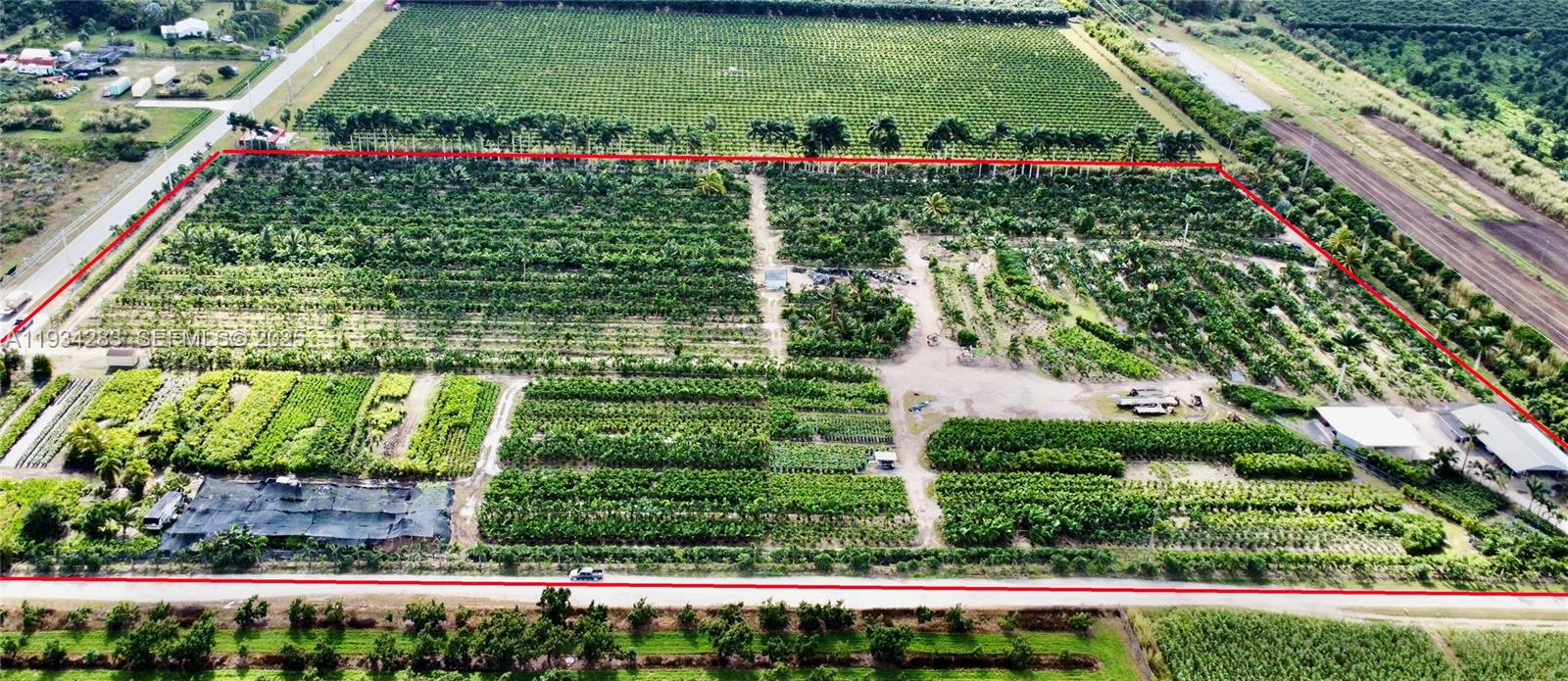 Profitable Tree Farm with Significant Inventory and Land