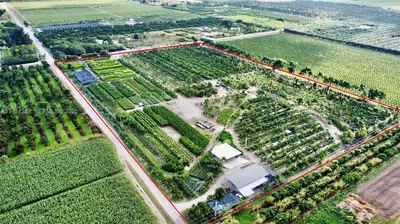 Profitable Tree Farm with Significant Inventory and Land