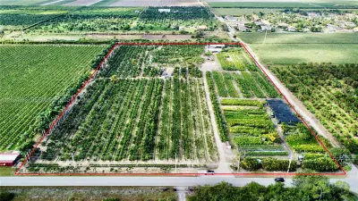 Profitable Tree Farm with Significant Inventory and Land