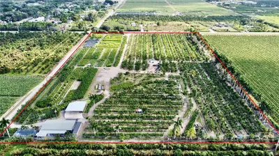 Profitable Tree Farm with Significant Inventory and Land