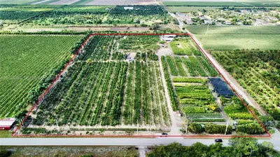 Profitable Tree Farm with Significant Inventory and Land