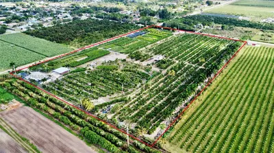 Profitable Tree Farm with Significant Inventory and Land