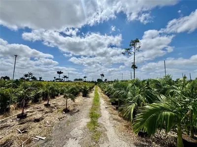 Profitable Tree Farm with Significant Inventory and Land