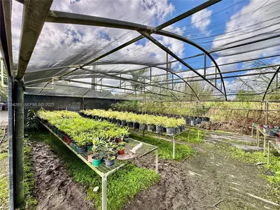 Profitable Tree Farm with Significant Inventory and Land