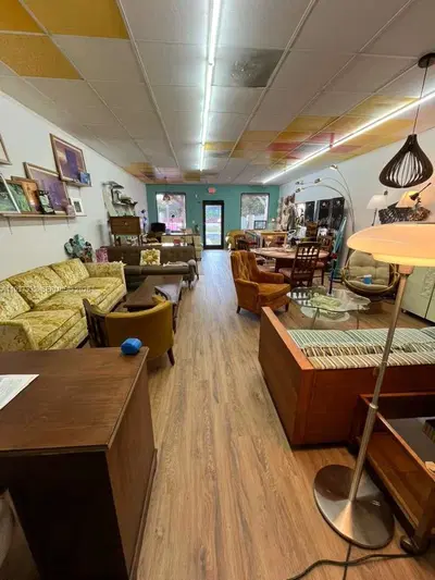 Niche Retro Furniture Retailer with Growth Potential