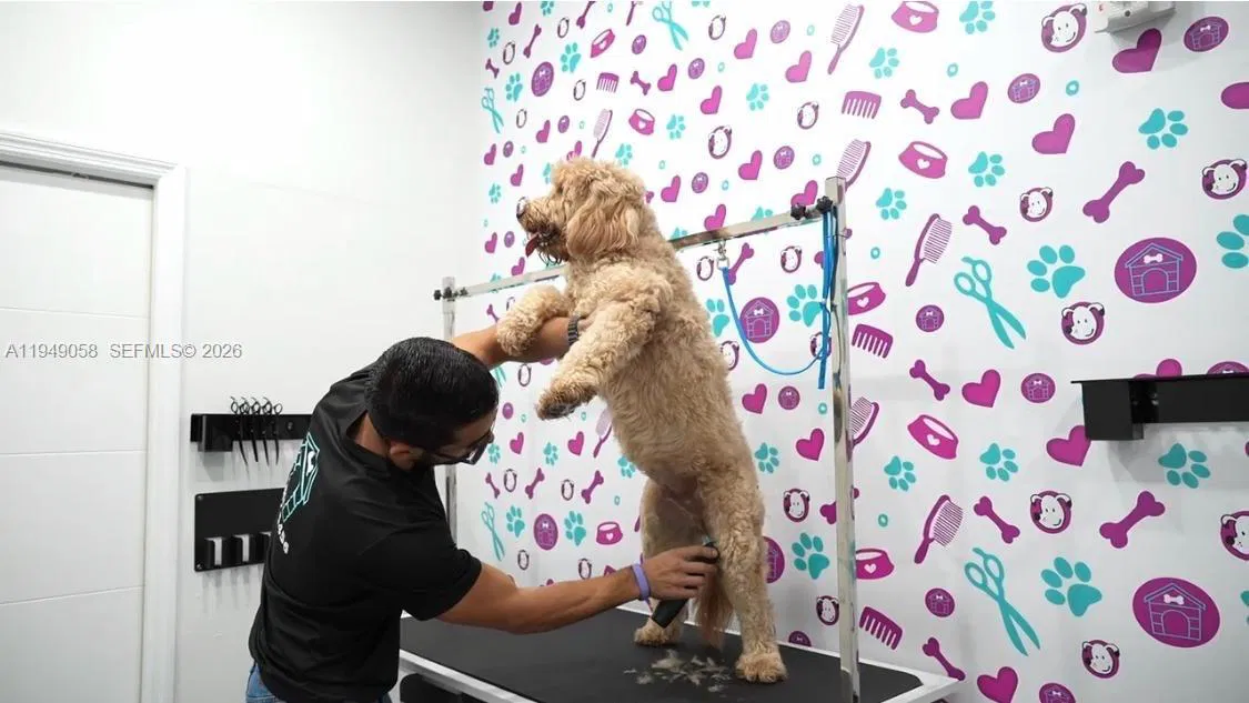 Turnkey Pet Services Business with Immediate Operations