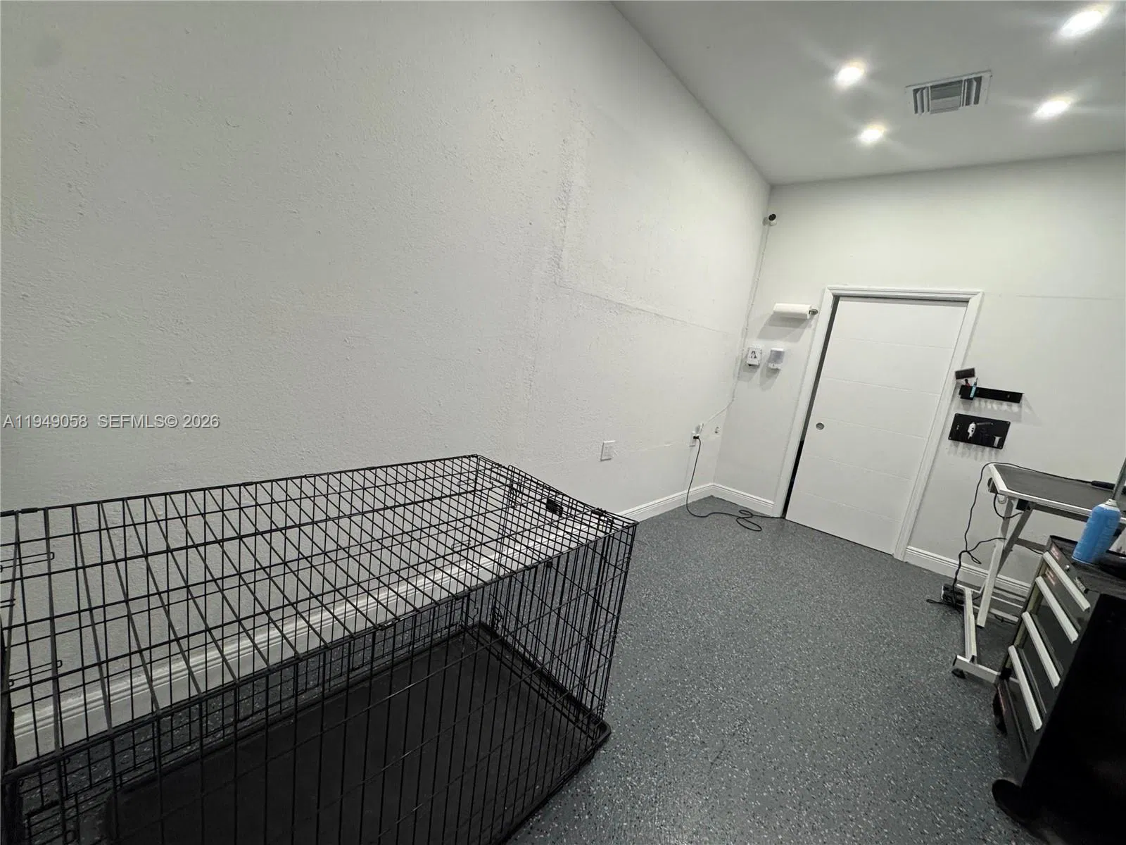 Turnkey Pet Services Business with Immediate Operations