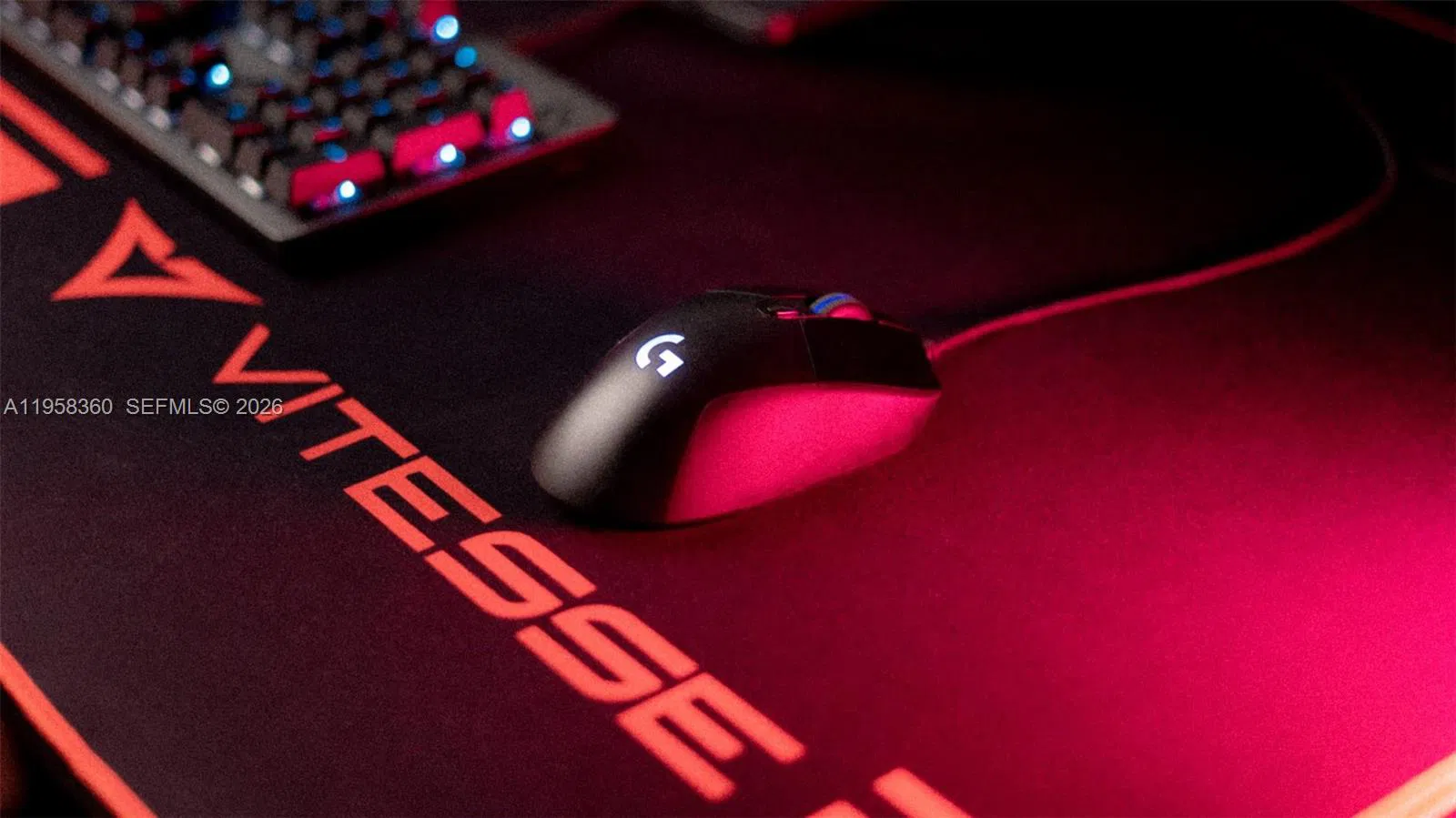 Scalable Entertainment Business with Clear Growth Paths