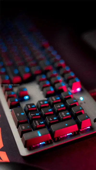 Scalable Entertainment Business with Clear Growth Paths