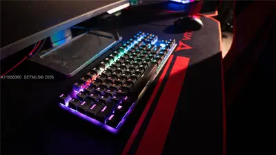 Scalable Entertainment Business with Clear Growth Paths