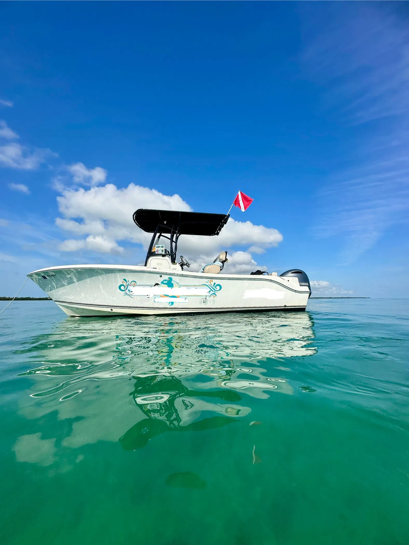 Profitable Key West Charter Business with Loyal Clientele