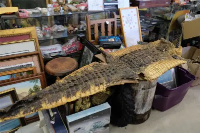 Massive Inventory of Antiques and Collectibles
