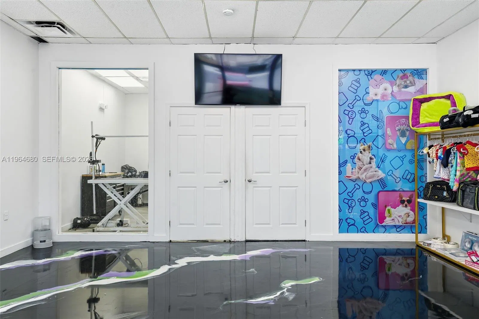 Established Pet Grooming Business with Loyal Clientele