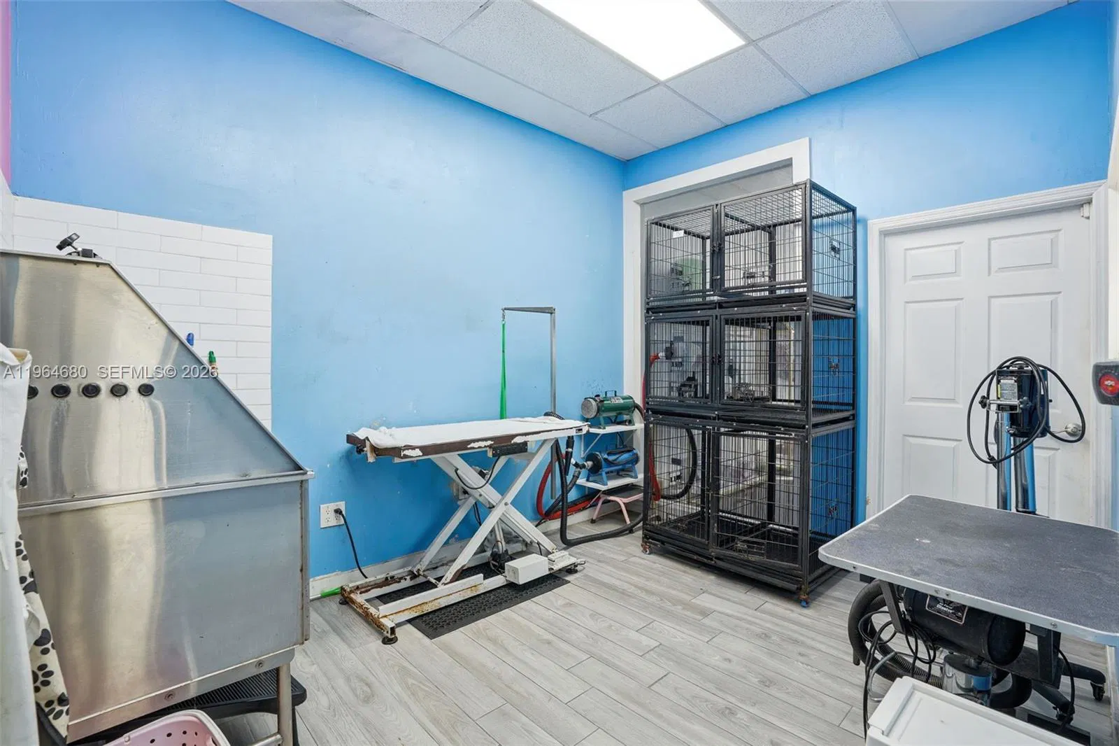 Established Pet Grooming Business with Loyal Clientele