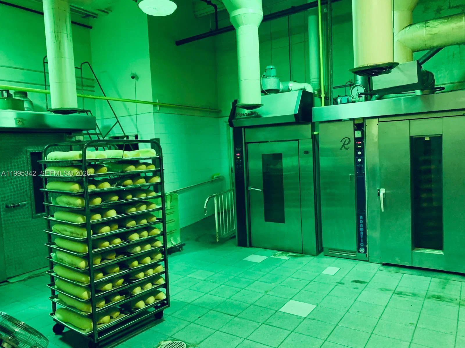 Established Wholesale Latin Bakery with Industrialized Processes