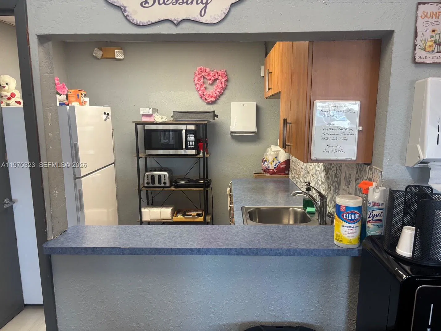 Profitable Adult Day Care with Broad Insurance Coverage