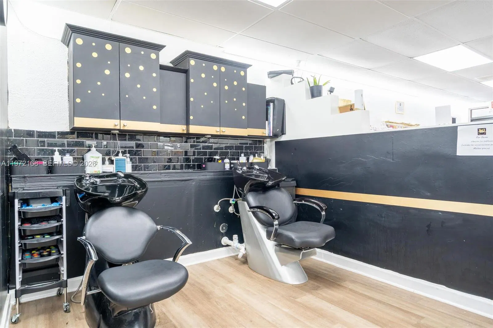 Turnkey Hair Salon and Spa with Loyal Local Clientele