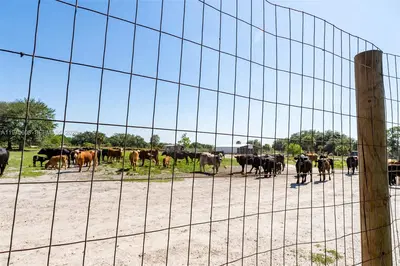 Vertically Integrated Grass Fed Production Business with Real Estate