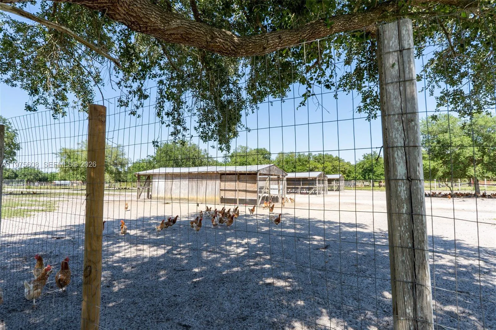 Vertically Integrated Grass Fed Production Business with Real Estate