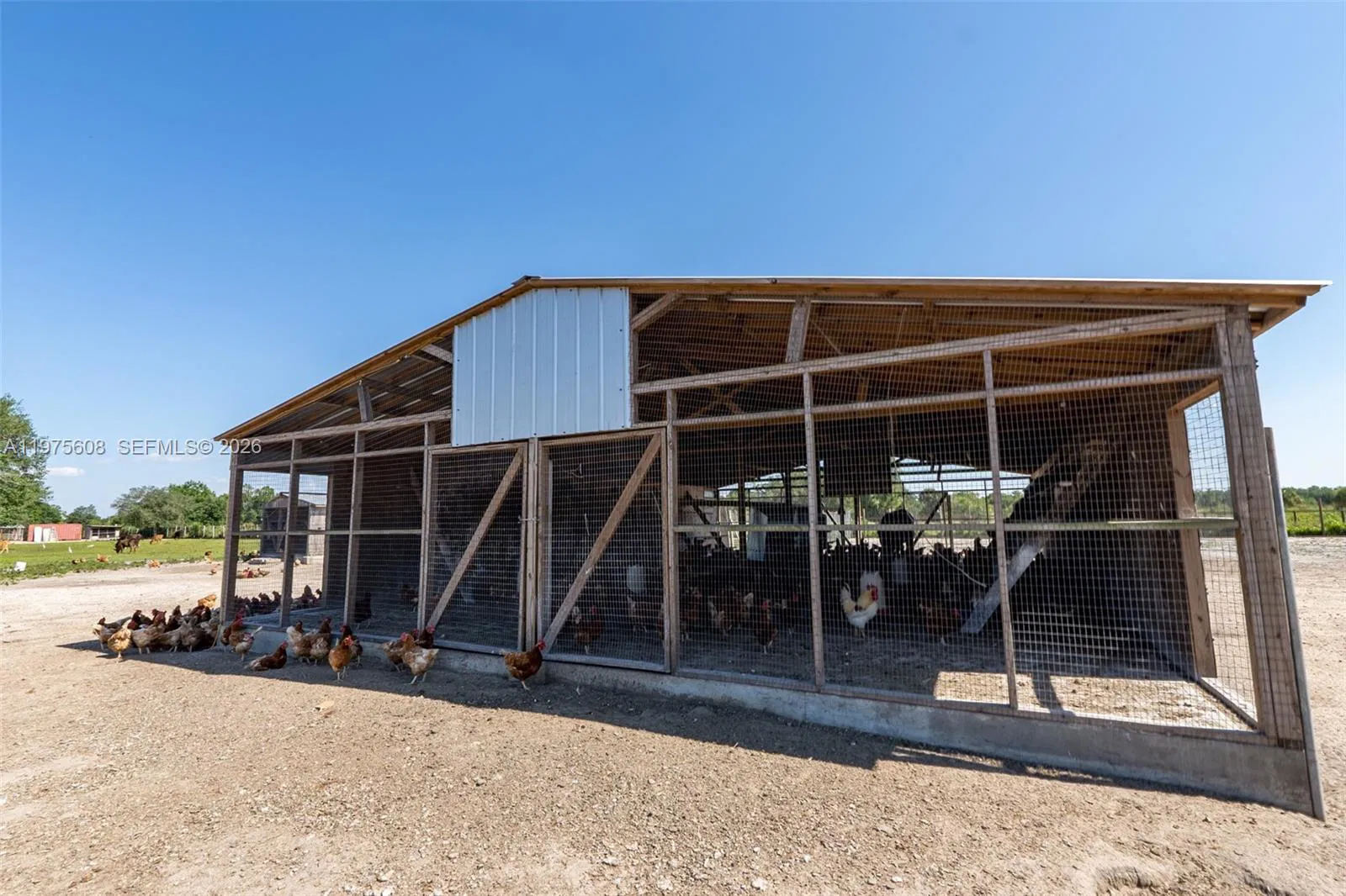 Vertically Integrated Grass Fed Production Business with Real Estate