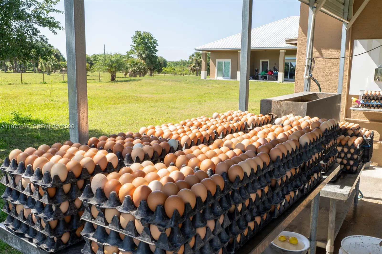 Vertically Integrated Grass Fed Production Business with Real Estate