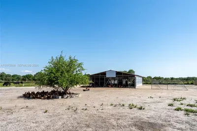 Vertically Integrated Grass Fed Production Business with Real Estate