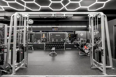 Complete Gym Equipment Package with Premium Finishes