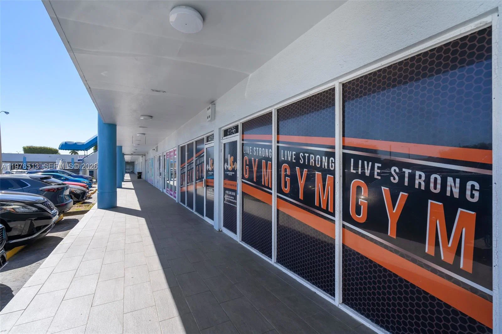 Complete Gym Equipment Package with Premium Finishes